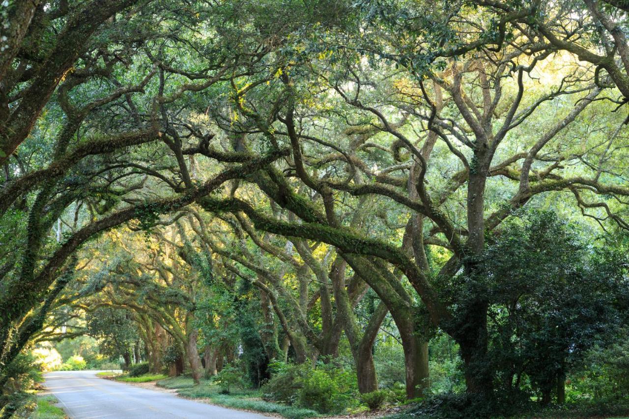 Magnolia Springs Bed And Breakfast Bagian luar foto